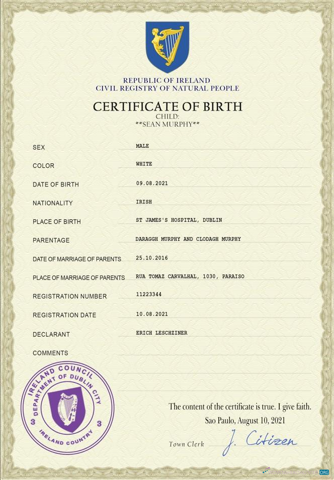 Download Ireland vital record birth certificate PSD template Photoshop template